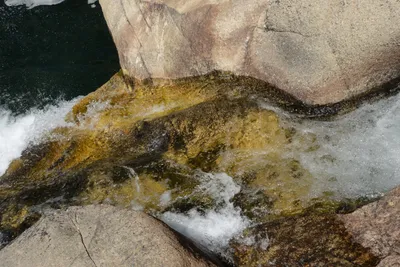 DSC_3794 (Large).JPG